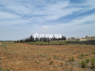 Terrain 2 hectares lotissement - Terrain à vendre - Fes