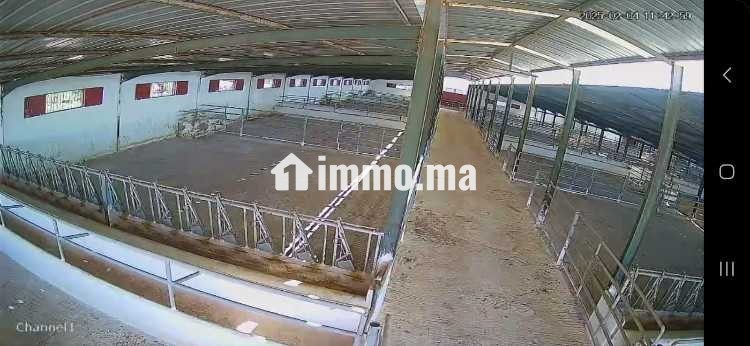 Location des entrepôts ou locaux de stockage - Location Immobilier - Berrechid - photo 1