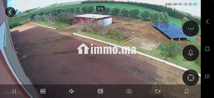 Location des entrepôts ou locaux de stockage - Location Immobilier - Berrechid - photo 2