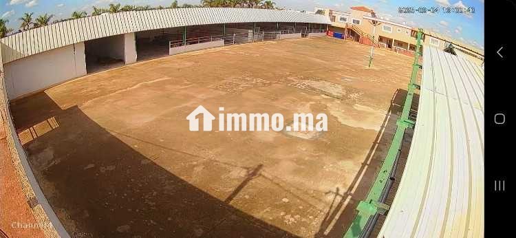 Location des entrepôts ou locaux de stockage - Location Immobilier - Berrechid - photo 3