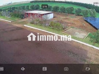 Location des entrepôts ou locaux de stockage - Local commercial à louer - Berrechid
