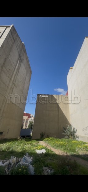 Vente terrain à Mhgorgha. Surface de 144 m² - Vente Immobilier - Tanger - photo 5