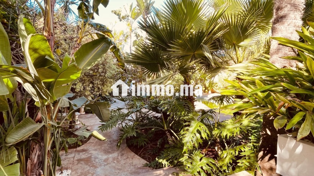 Villa de haut standing à louer - Location Immobilier - Casablanca - photo 4