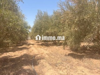 Terrain à 15 km de Marrakech, maison semi finie - Terrain à vendre - Marrakech