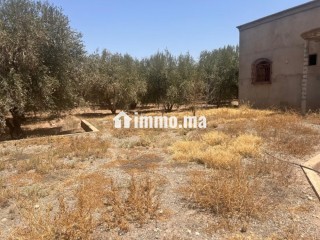 Terrain à 15 km de Marrakech, maison semi finie - Terrain à vendre - Marrakech