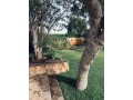 rabat-souissi-villa-entierement-meublee-a-louer-small-13
