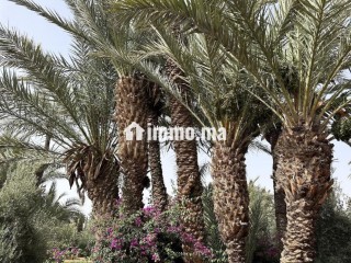 Circuit Palmeraie – Maison de Caractère à Vendre - Maison à vendre - Marrakech