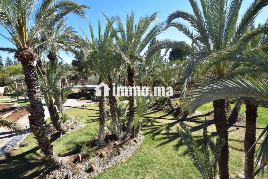 Maison à vendre à la Palmeraie de Marrakech - Vente Immobilier - Marrakech - photo 3