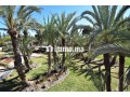 Maison à vendre à la Palmeraie de Marrakech - miniature 3