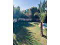 ambassador-villa-avec-ch-central-et-piscine-small-9