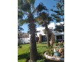 sable-dor-villa-vue-sur-mer-a-vendre-small-1