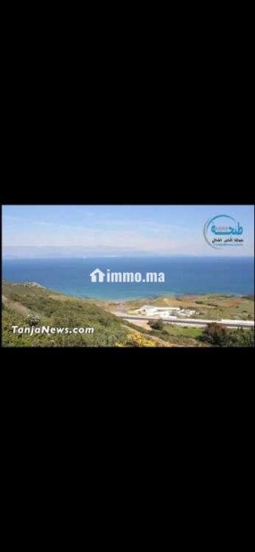 Terrain panoramique à Zraraa tanger - Vente Immobilier - Tanger - photo 5