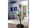 Appartement meublé à louer Quartier Gauthier - miniature 2