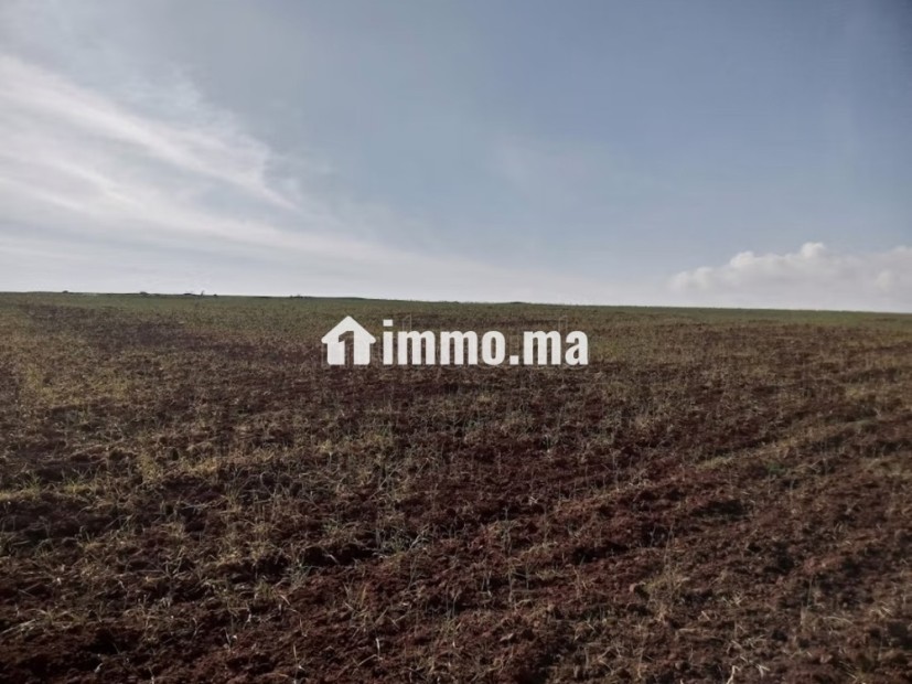 Terrain a gricole Region d'azemmour - Vente Immobilier - Azemmour - photo 2