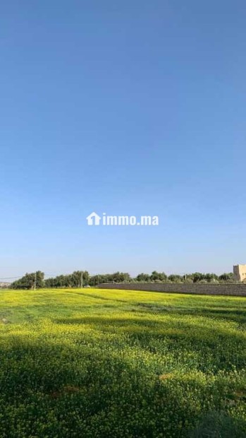 Terrain Titré à vendre – Ounagha - Vente Immobilier - Essaouira - photo 3