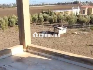 فيرما للبيع 1هكتار قرب جمعة فضالات - Terrain à vendre - Mohammedia