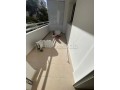 Appartement a louer de 85 m² à Hay Mohammedi - miniature 2
