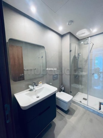 un-magnifique-appartement-meuble-a-louer-big-5