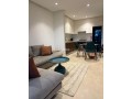 un-magnifique-apt-a-louer-meuble-small-9