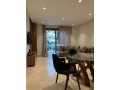 un-magnifique-apt-a-louer-meuble-small-1