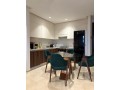 un-magnifique-apt-a-louer-meuble-small-2