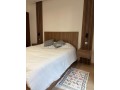 un-magnifique-apt-a-louer-meuble-small-3