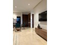 un-magnifique-apt-a-louer-meuble-small-5