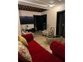 Magnifique penthouse à vendre - miniature 6