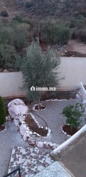 Terrain agricole avec maisonnette - Vente Immobilier - Beni Mellal - photo 1