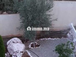 Terrain agricole avec maisonnette - Terrain à vendre - Beni Mellal