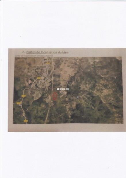5 parcelles agricoles titrées Daimouss/ Tanger - Vente Immobilier - Tanger - photo 4