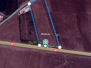 أرض فلاحية للبيع نواحي اليوسفية - Terrain à vendre - Youssoufia