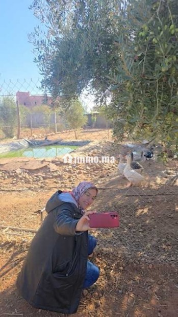 DOMAINE TOURISTIQUE HAUT STANDIING - Vente Immobilier - Marrakech - photo 4