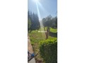 DOMAINE TOURISTIQUE HAUT STANDIING - miniature 3