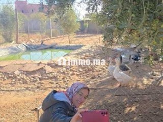 DOMAINE TOURISTIQUE HAUT STANDIING - Local commercial à vendre - Marrakech