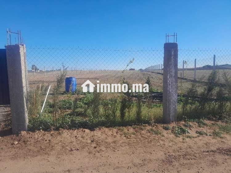 Ferme à vendredi - Vente Immobilier - Berrechid - photo 1