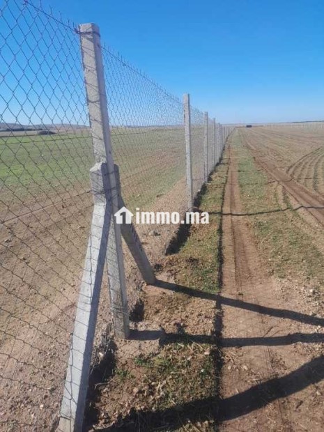 Ferme à vendredi - Vente Immobilier - Berrechid - photo 5