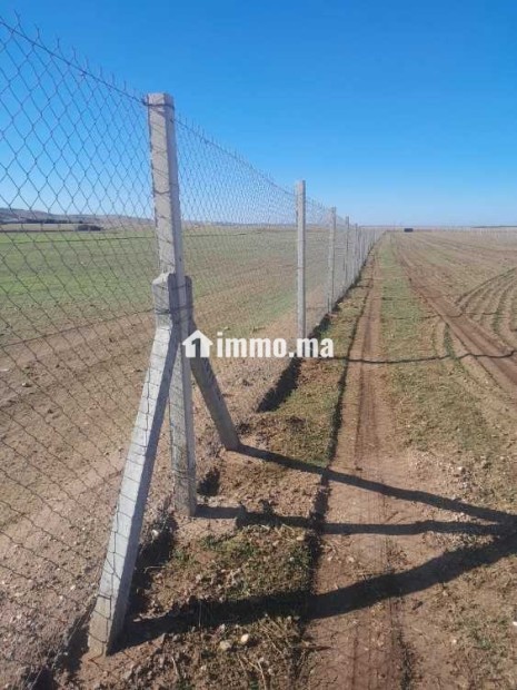 Ferme à vendredi - Vente Immobilier - Berrechid - photo 7