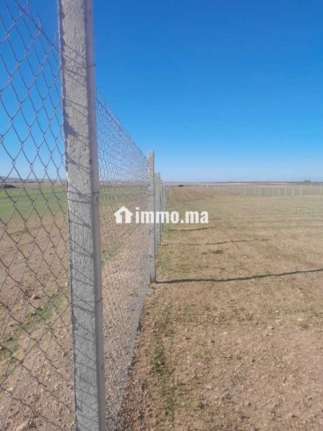 Ferme à vendredi - Vente Immobilier - Berrechid - photo 8