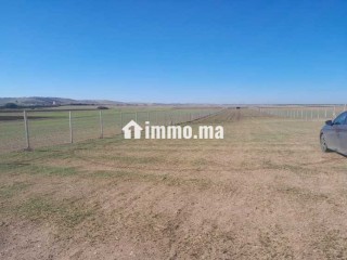 Ferme à vendredi - Terrain à vendre - Berrechid