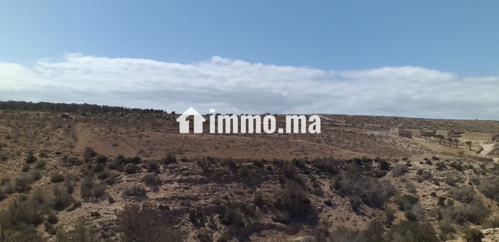 للبيع في دوار شيشت / Terrain à vendre Douar Chicht - Vente Immobilier - Essaouira - photo 3