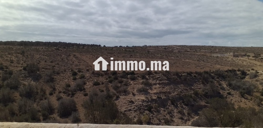 للبيع في دوار شيشت / Terrain à vendre Douar Chicht - Vente Immobilier - Essaouira - photo 2