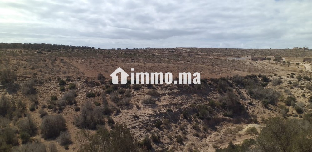 للبيع في دوار شيشت / Terrain à vendre Douar Chicht - Vente Immobilier - Essaouira - photo 1
