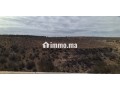 للبيع في دوار شيشت / Terrain à vendre Douar Chicht - miniature 2