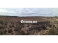 للبيع في دوار شيشت / Terrain à vendre Douar Chicht - miniature 1