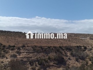 للبيع في دوار شيشت / Terrain à vendre Douar Chicht - Terrain à vendre - Essaouira