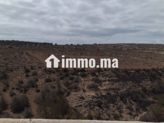 للبيع في دوار شيشت / Terrain à vendre Douar Chicht - Terrain à vendre - Essaouira