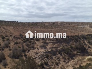 للبيع في دوار شيشت / Terrain à vendre Douar Chicht - Terrain à vendre - Essaouira