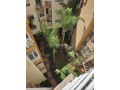 Appartement en face O'village Mall - miniature 3