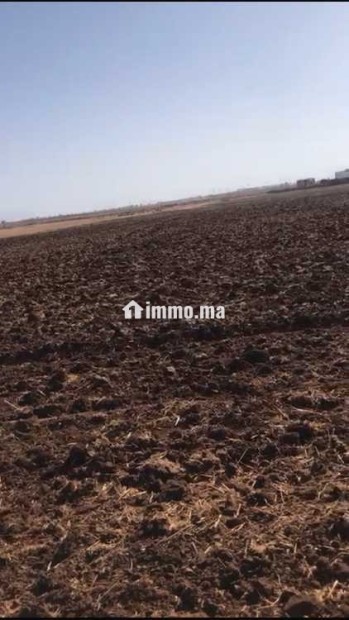 ارض للبيع محفظة تيتر فونصي هكتار و نصف - Vente Immobilier - Casablanca - photo 1